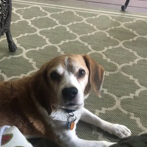 Meet your Posher, Meg